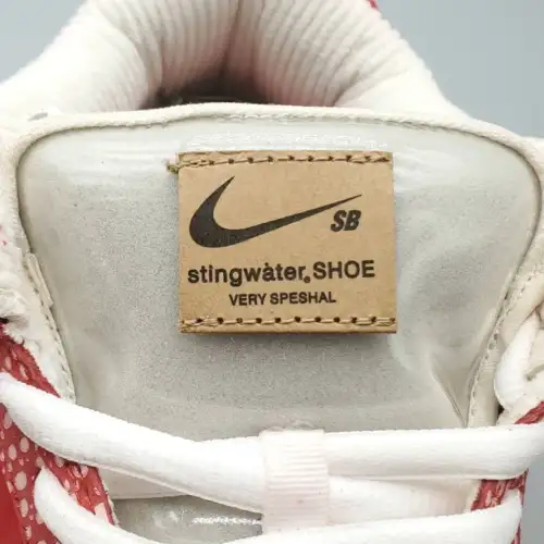 Stingwater x Dunk Dunk Low SB 'Magic Mushroom'