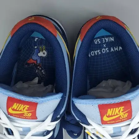 Why So Sad? The Predatory Bird x Dunk Low SB 'The Predatory Bird'