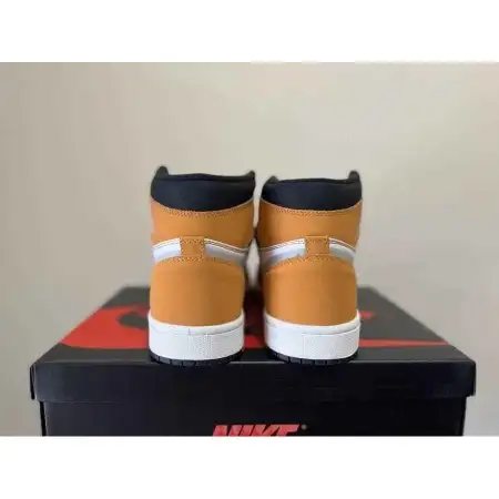 Air Jordan 1 Light Curry High Element Gore-Tex 'Light Curry'