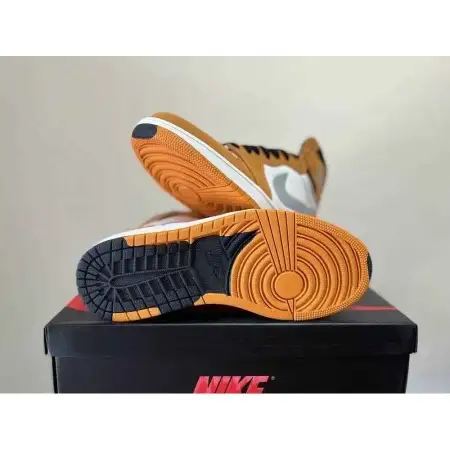 Air Jordan 1 Light Curry High Element Gore-Tex 'Light Curry'