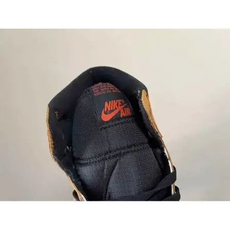 Air Jordan 1 Light Curry High Element Gore-Tex 'Light Curry'