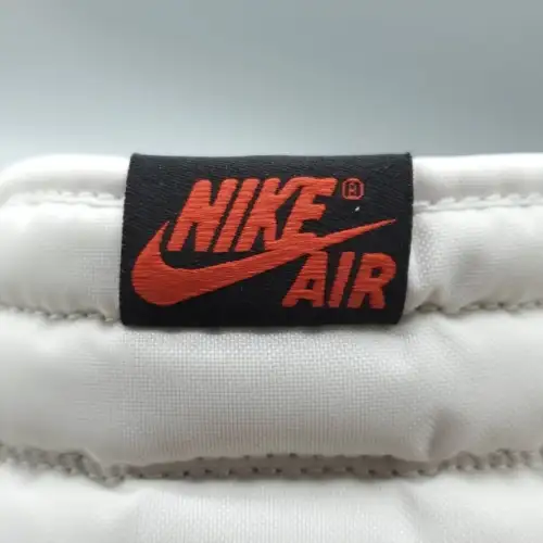 Air Jordan 1 Air Jordan 1 Retro High OG 'Washed Black'