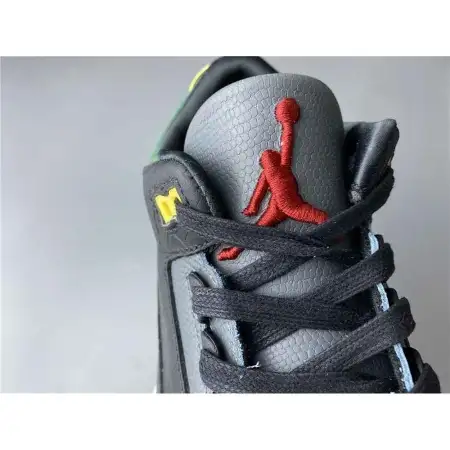 Air Jordan 3 Retro SE 'Animal Instinct Air Jordan 3 2.0'