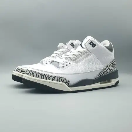 Air Jordan 3 Retro GS 'Hide N' Sneak'