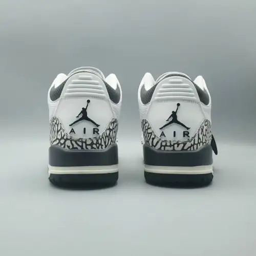 Air Jordan 3 Retro GS Air Jordan 3 'Hide N' Sneak'