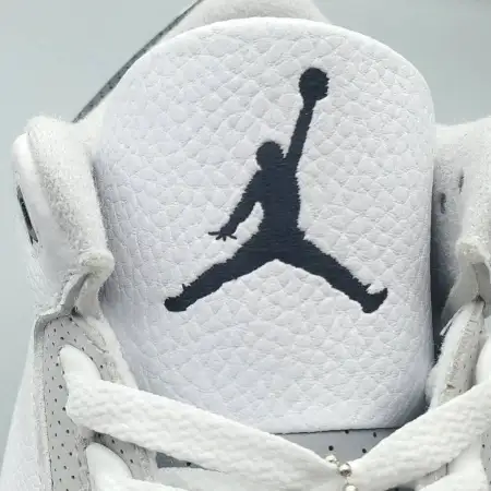Air Jordan 3 Retro GS Air Jordan 3 'Hide N' Sneak'