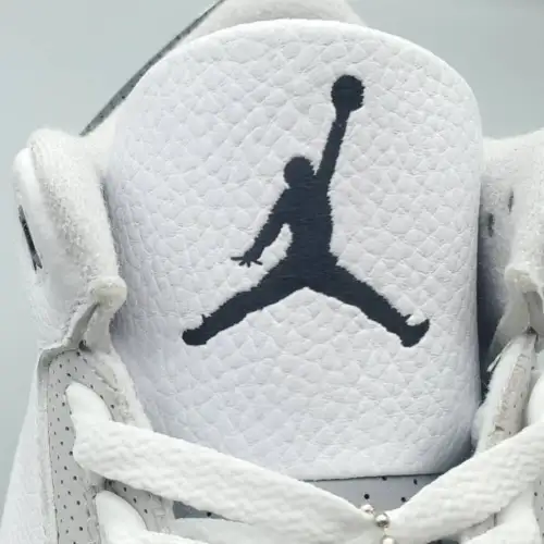 Air Jordan 3 Retro GS Air Jordan 3 'Hide N' Sneak'