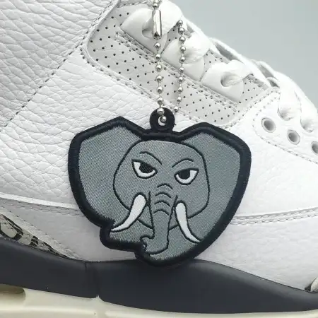 Air Jordan 3 Retro GS Air Jordan 3 'Hide N' Sneak'