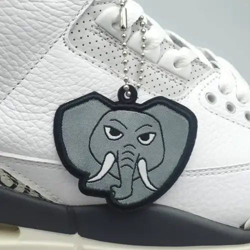 Air Jordan 3 Retro GS Air Jordan 3 'Hide N' Sneak'