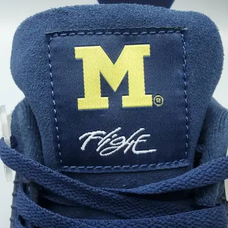 Air Jordan 4 Air Jordan 4 Retro 'Michigan Wolverines' PE