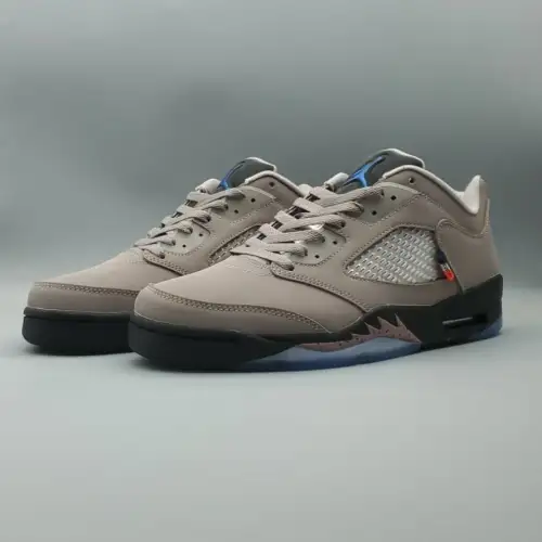 Paris Saint-Germain x Air Paris Saint-Germain Jordan 5 Retro Low 'Paname'
