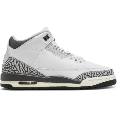 Air Jordan 3 Retro GS Air Jordan 3 'Hide N' Sneak'